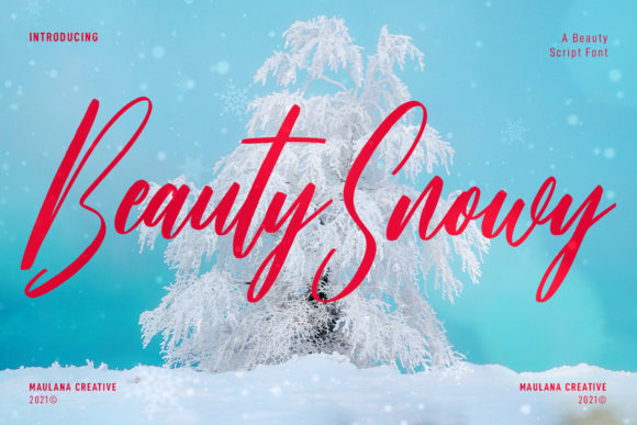 Beauty Snowy Script: Adding Dynamic Flair to Your Designs