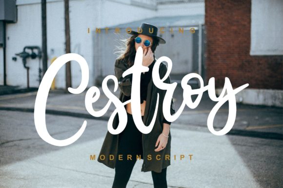 Bring a Timeless Touch to Your Projects with Cestroy Script