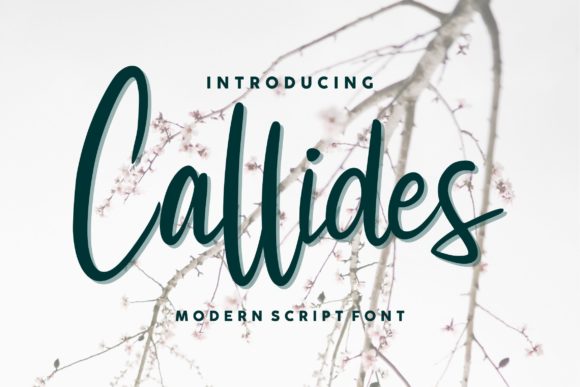 Callides Script: Where Sweetness Meets Sophistication