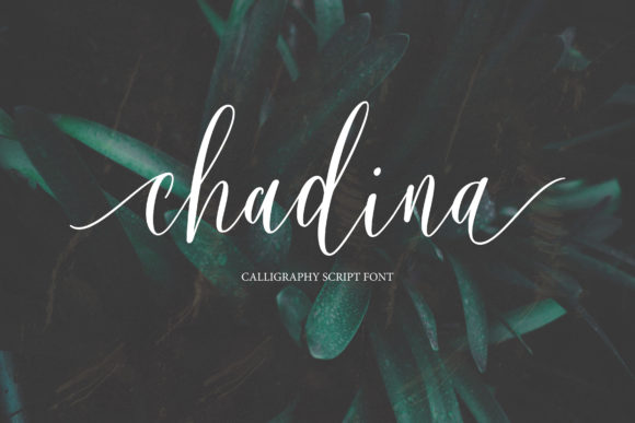 Chadina Script: Blending Classic Elegance with Modern Calligraphy