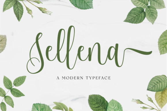 Why Sellena Script Feels Like a Human Touch in a Digital World